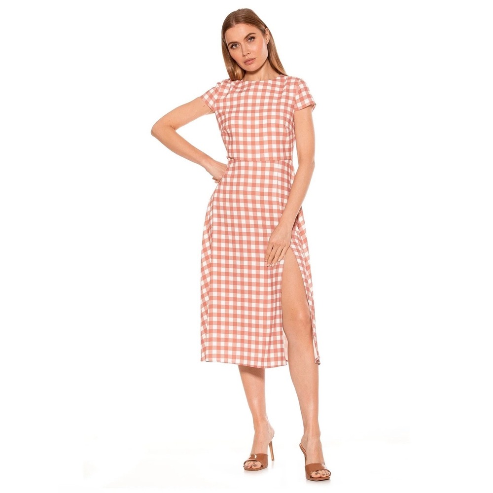 Alexia Admor Women Gingham Midi Dress XS Flared Hem Cottagecore Retro Church